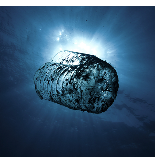 Sustainability at Bilkent